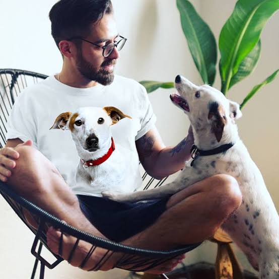 Pets